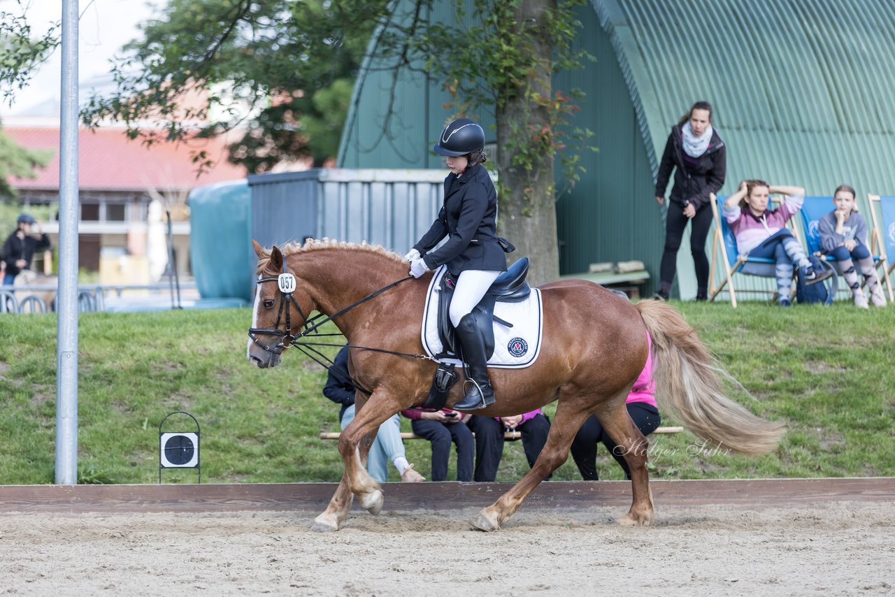 Bild 78 - Pony Akademie Turnier